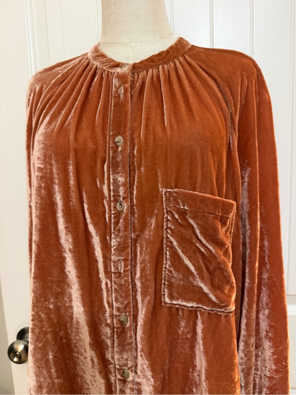 Pilcro Velvet Button-Front Blouse in Burnt Orange XL - Picture 5 of 16